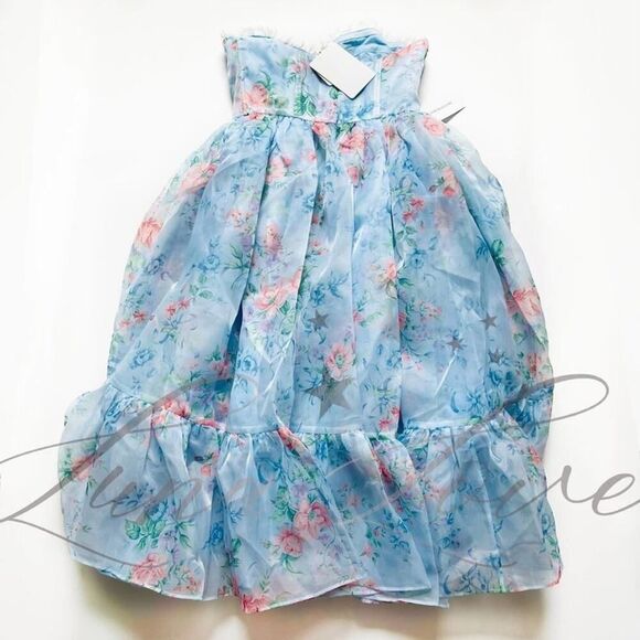 SELKIE x Free People French Corset Puff Dress In Mrs. Darcy NWT - Picture 7 of 11